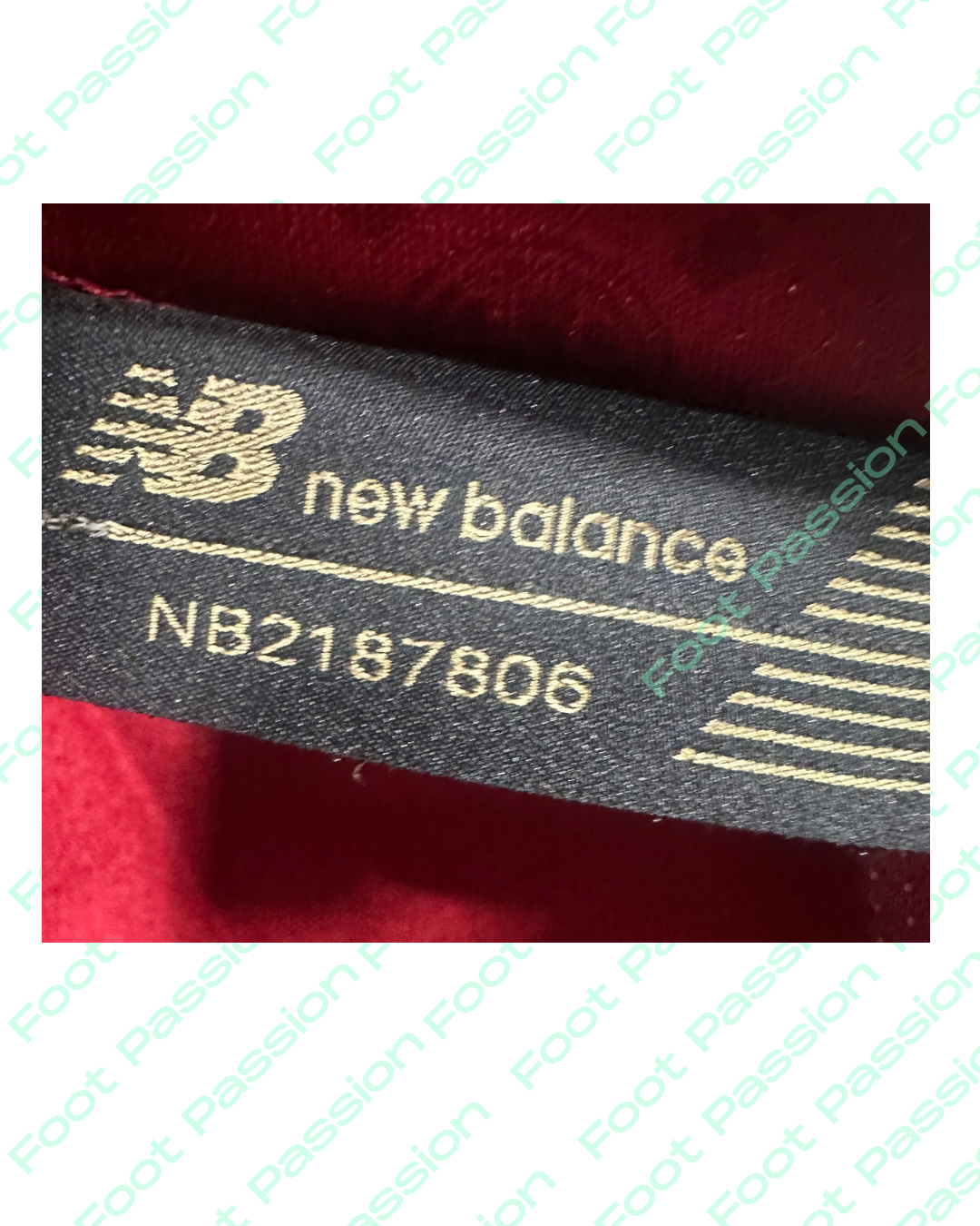 Pellegrini 2022/2023 Signed